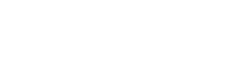 logo camila b